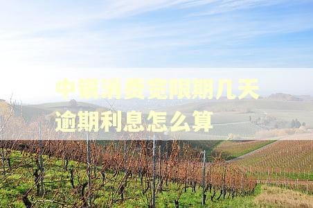 中银消费宽限期几天逾期利息怎么算