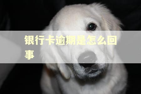 银行卡逾期是怎么回事