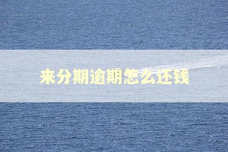 来分期逾期怎么还钱