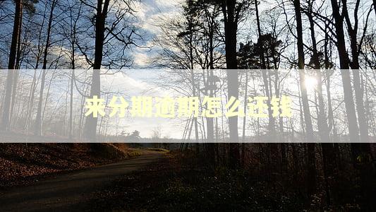 来分期逾期怎么还钱 来分期逾期怎么还钱
