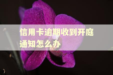 信用卡逾期收到开庭通知怎么办