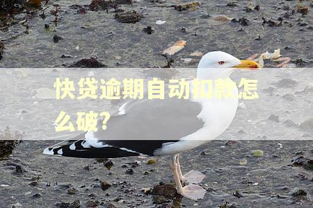快贷逾期自动扣款怎么破?