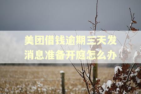 美团借钱逾期三天发消息准备开庭怎么办