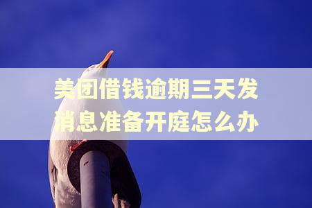 美团借钱逾期三天发消息准备开庭怎么办