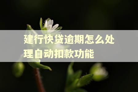 建行快贷逾期怎么处理自动扣款功能