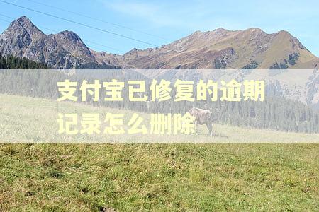 支付宝已修复的逾期记录怎么删除