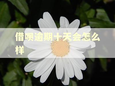 借呗逾期十天会怎么样