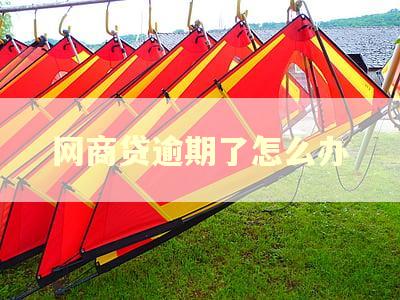 网商贷逾期了怎么办