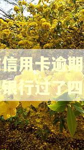 中信信用卡逾期了怎么跟银行过了四天
