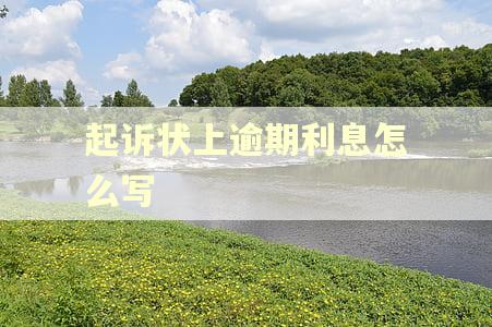 起诉状上逾期利息怎么写