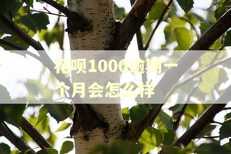 花呗1000逾期一个月会怎么样 花呗1000逾期一个月会怎么样