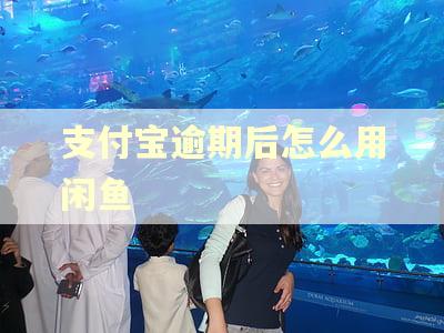 支付宝逾期后怎么用闲鱼