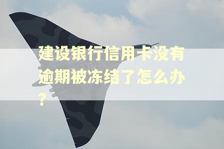 建设银行信用卡没有逾期被冻结了怎么办?