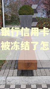 建设银行信用卡没有逾期被冻结了怎么办?