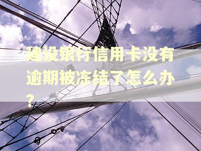 建设银行信用卡没有逾期被冻结了怎么办?