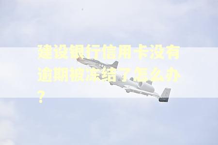 建设银行信用卡没有逾期被冻结了怎么办?
