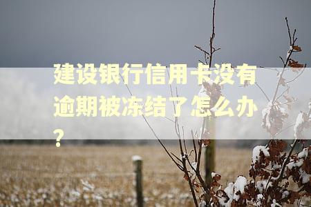 建设银行信用卡没有逾期被冻结了怎么办? 建设银行信用卡没有逾期被冻结了怎么办?
