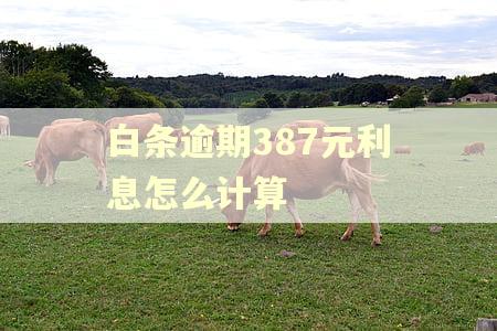 白条逾期387元利息怎么计算 白条逾期387元利息怎么计算