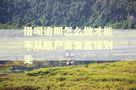 借呗逾期怎么做才能不从账户里里直接划走