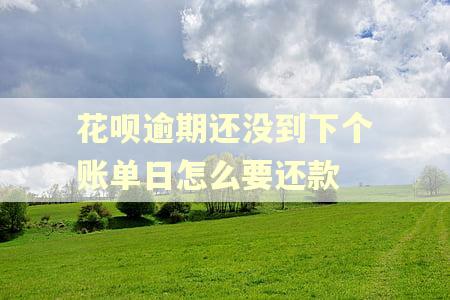花呗逾期还没到下个账单日怎么要还款