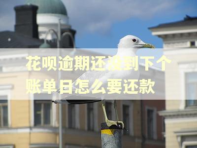 花呗逾期还没到下个账单日怎么要还款