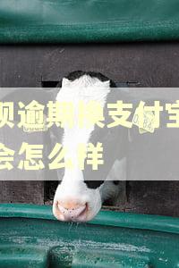 花呗逾期换支付宝账号会怎么样
