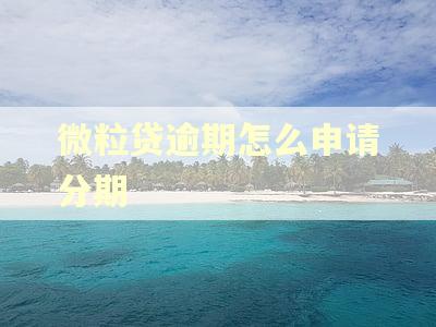 微粒贷逾期怎么申请分期