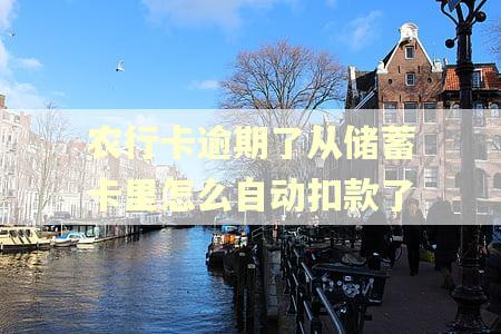 农行卡逾期了从储蓄卡里怎么自动扣款了 农行卡逾期了从储蓄卡里怎么自动扣款了