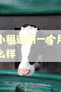拍小租逾期一个月会怎么样