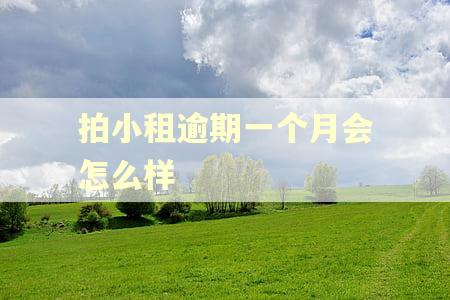 拍小租逾期一个月会怎么样