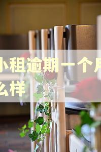 拍小租逾期一个月会怎么样
