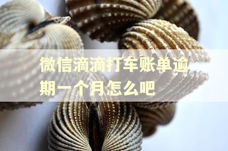 微信滴滴打车账单逾期一个月怎么吧
