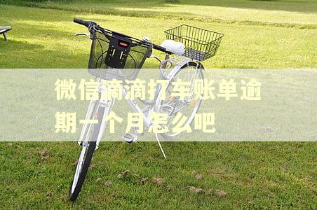 微信滴滴打车账单逾期一个月怎么吧 微信滴滴打车账单逾期一个月怎么吧