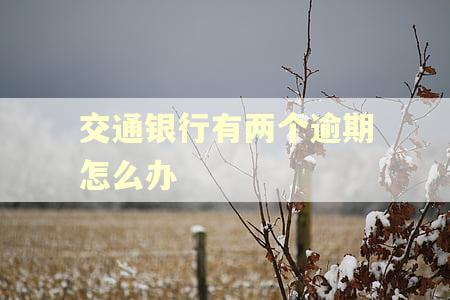 交通银行有两个逾期怎么办 交通银行有两个逾期怎么办