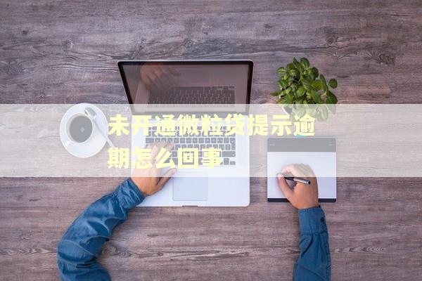 未开通微粒贷提示逾期怎么回事
