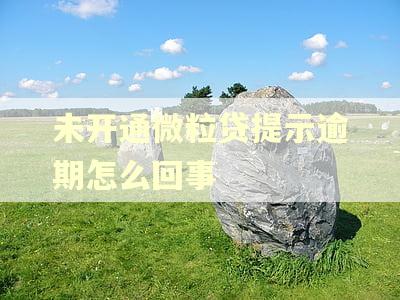 未开通微粒贷提示逾期怎么回事