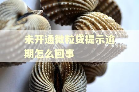 未开通微粒贷提示逾期怎么回事