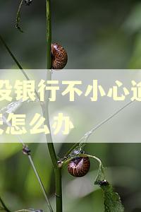 建设银行不小心逾期6天怎么办