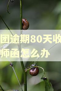 美团逾期80天收到律师函怎么办