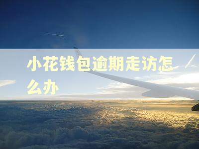 小花钱包逾期走访怎么办