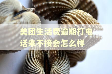 美团生活费逾期打电话来不接会怎么样