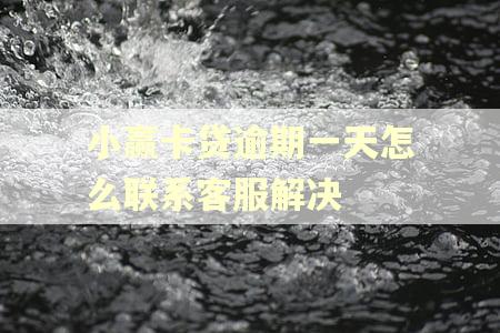 小赢卡贷逾期一天怎么联系客服解决