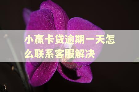 小赢卡贷逾期一天怎么联系客服解决 小赢卡贷逾期一天怎么联系客服解决