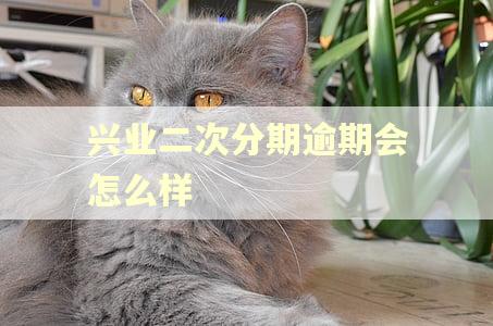 兴业二次分期逾期会怎么样