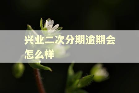 兴业二次分期逾期会怎么样 兴业二次分期逾期会怎么样