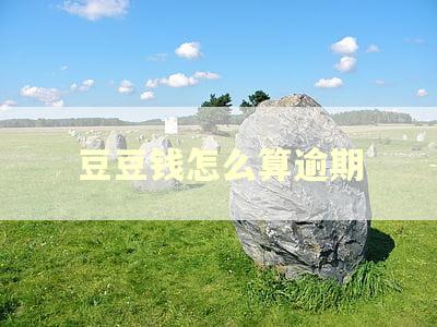 豆豆钱怎么算逾期