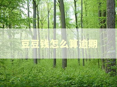 豆豆钱怎么算逾期