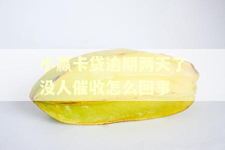 小赢卡贷逾期两天了没人催收怎么回事