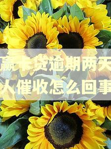 小赢卡贷逾期两天了没人催收怎么回事 小赢卡贷逾期两天了没人催收怎么回事