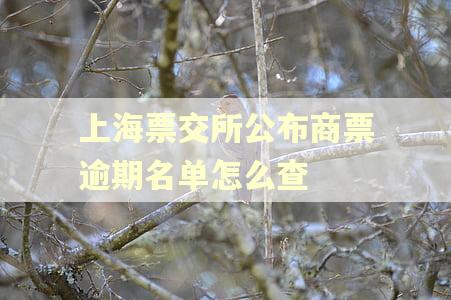 上海票交所公布商票逾期名单怎么查